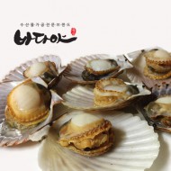 상품명